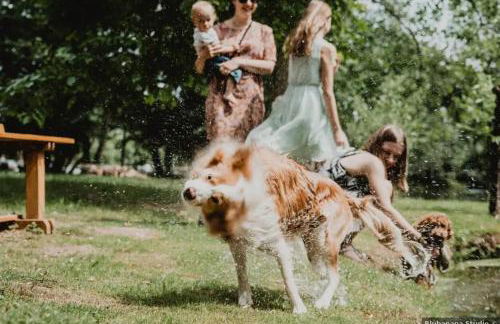 La Regina del Bosco - Foto 3