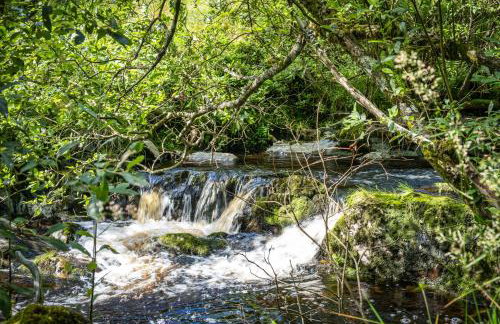 High Auchenbrack - Foto 26