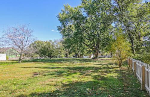 Crepe Myrtle - Foto 55