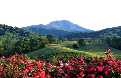 Historic Cabin near Luray Caverns Perfect for a Family Vacation in Virginia - Foto 30