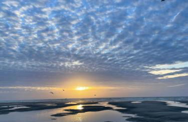 Les gîtes de la Courtille - Foto 25