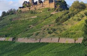 Pension mit Moselblick - Foto 26