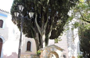 Atrium - Lafkos - Foto 24