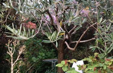 Cav di Gianfranco - Foto 35