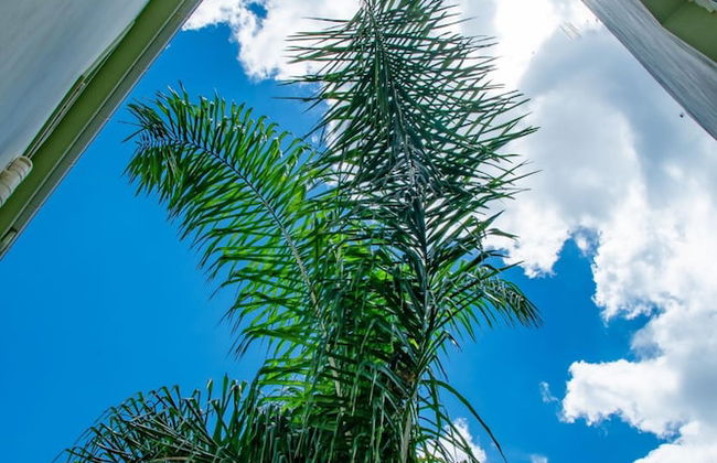 Villa Dimokratia - Foto 47