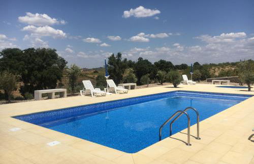 Desafios da Horta - Foto 8