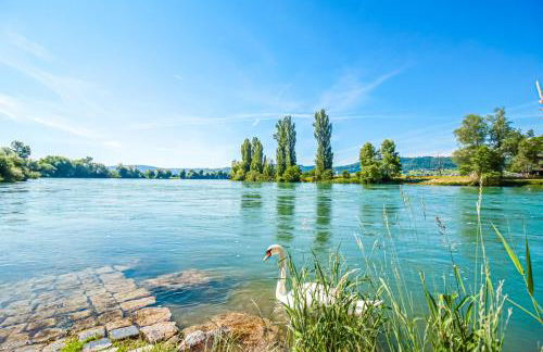 Löwe Apartment Grün Küssaberg am Rhein - Foto 24