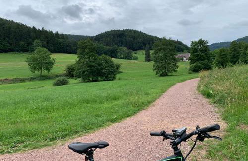 Casa Blanca am Herzzentrum Lahr - Foto 11