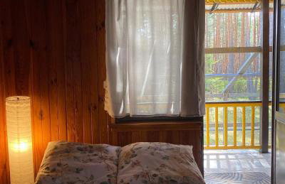 Leśny Czar - Foto 14