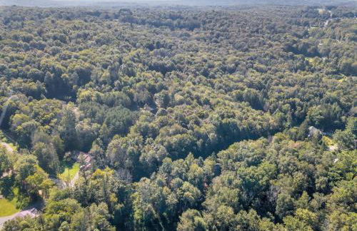Secluded Log Cabin with Hot Tub Fire Pit Game Room - Foto 62