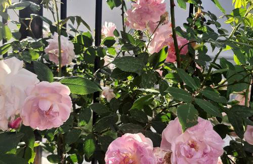 Αρχοντικό Παπανικολάου - Foto 60