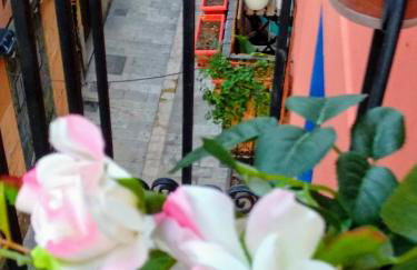 Valencian Dreams of the Proletariat - Photo 28