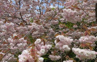 The Cabin - Photo 26