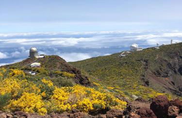 Mar de Lava - Foto 41