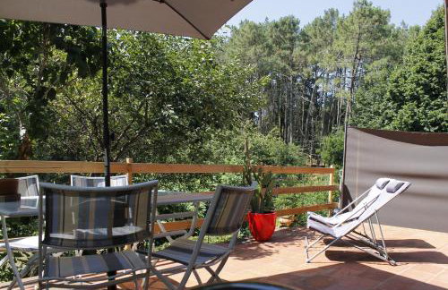 LOU PITCHOUN - Jacuzzi SPA Privé - Vignes - Proche ALBI et CORDES - Foto 16