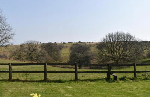 Little Folly - Photo 24