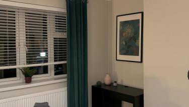 Spacious & Modern Family Gem - Foto 4