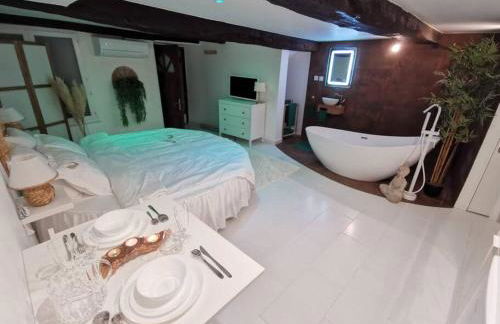 Studio équipé avec Lit rond / baignoire ilot / Table massage Aux Arcs - Foto 9