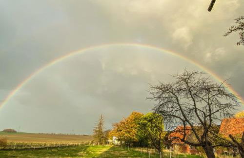 Ferienwohnung Santino - Foto 18
