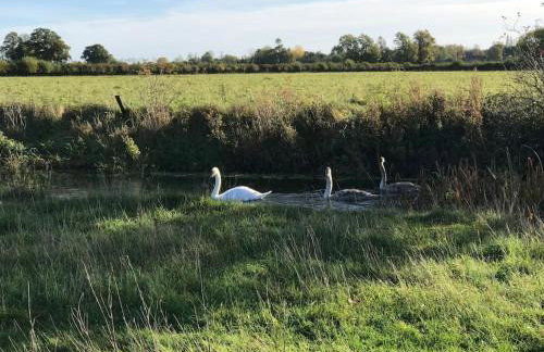 Thames Cottage, Old Mill Farm, Cotswold Water Park - Foto 22