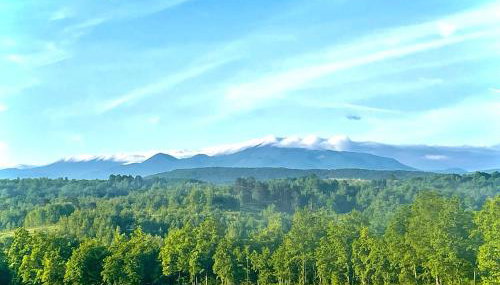 Apartment Melissa - Foto 2