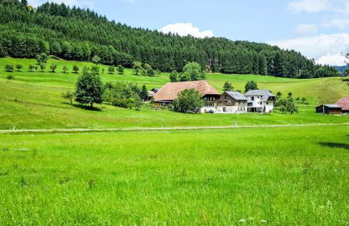 Apartment Kinast - HFT202 by Interhome - Foto 149