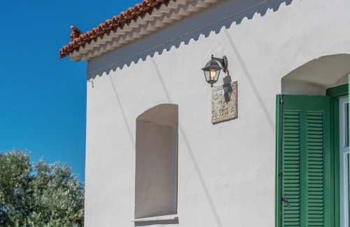 Sempreviva - Foto 42