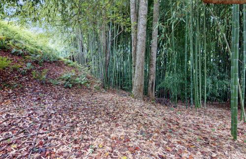 Circle House in the Smoky Mountains - Foto 26