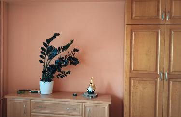 Mieszkanie Mickiewicza ... 45 - Foto 19