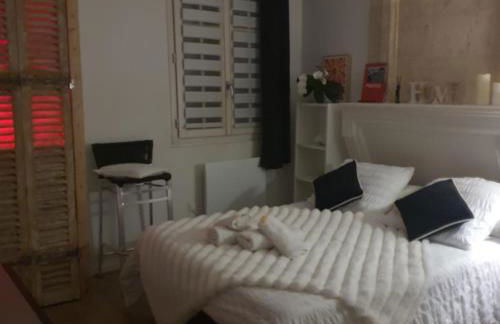 Little Saint James au coeur historique de Bordeaux - Foto 19