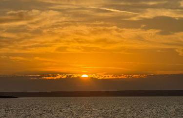 Apartman Ksenija - Photo 3