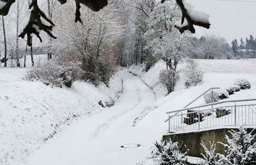 FeWo Ulbrich Langenstadt - Foto 35