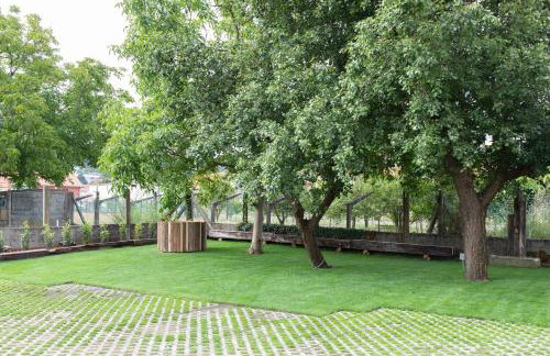 Casitas de Madera O Loureiro - Foto 55