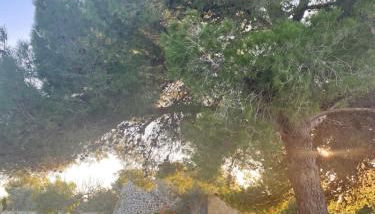 Trullo Nonno Nino - Foto 4