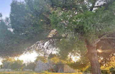 Trullo Nonno Nino - Foto 4