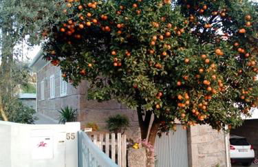 Vivenda Mendes - Foto 9