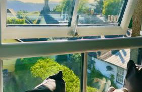 High Street Apartment - Photo 21