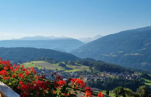 Perchnerhof - Foto 24