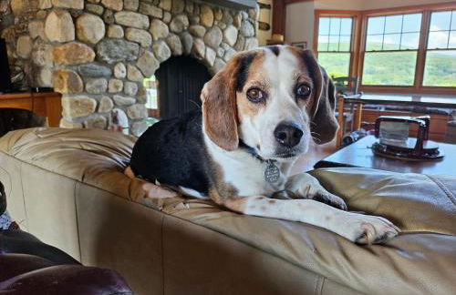 Clover Hill Farm & Country Inn - Foto 45