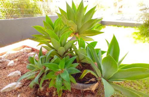 Lisbon South Bank Charming Pool Duplex & Garden BBK - Foto 56