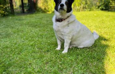 Lower Mill 2 Cottage Broadway - Foto 27