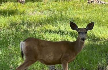 Arrowhead Getaway In Cimarron - Foto 39