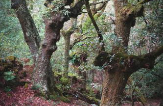 Veiga Mariña - Foto 20