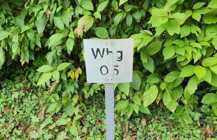 Ferienwohnung für 5 Personen in Wasserburg - Foto 24