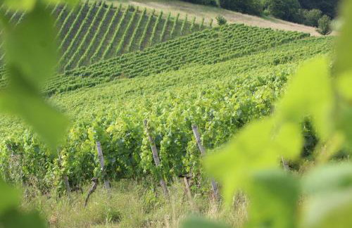 Ferienwohnung Forellenhof - Foto 25