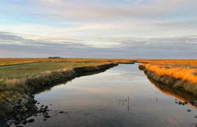Hallig Hüs - Foto 29