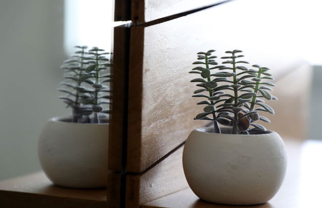 Les Maisons de Louise - Foto 39