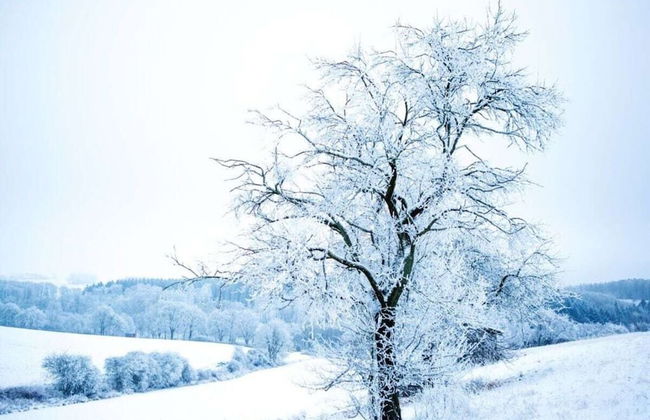 Majestic Apartment in Brakel - Foto 15