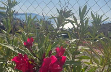 Villa Del Sol - Foto 57