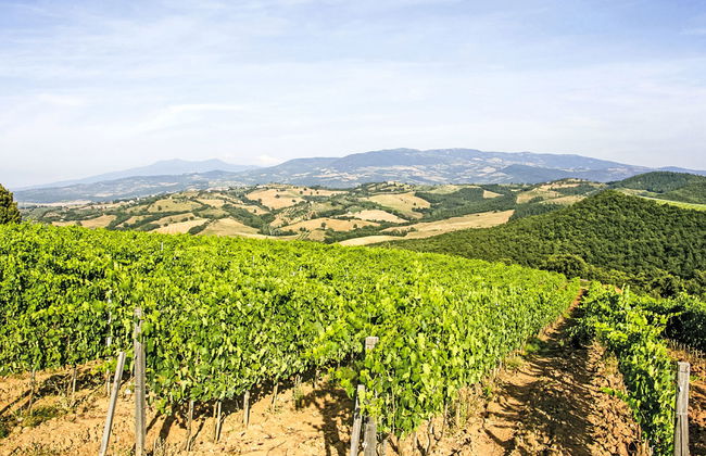 Grotte Rosse - Photo 33